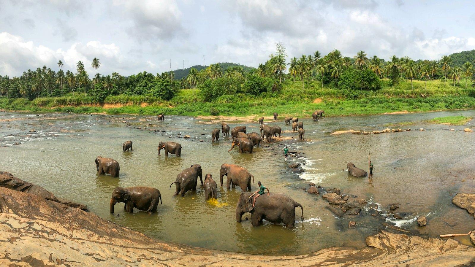 Sri Lanka