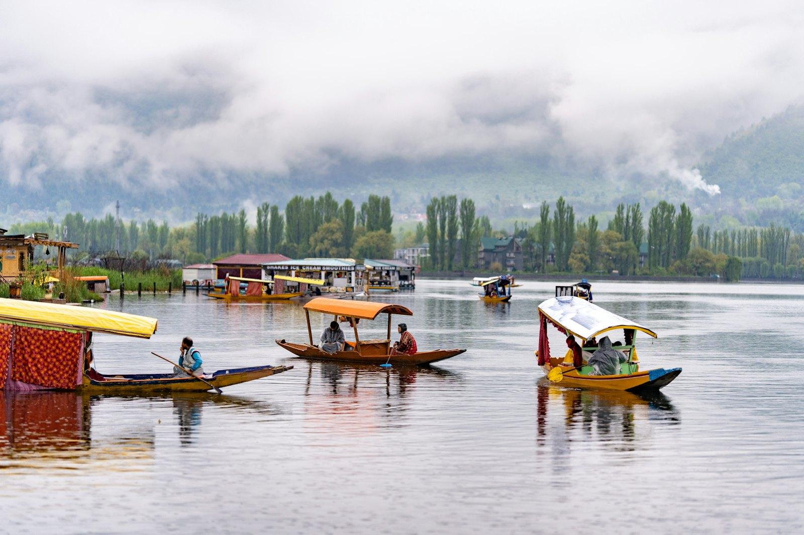 Kashmir