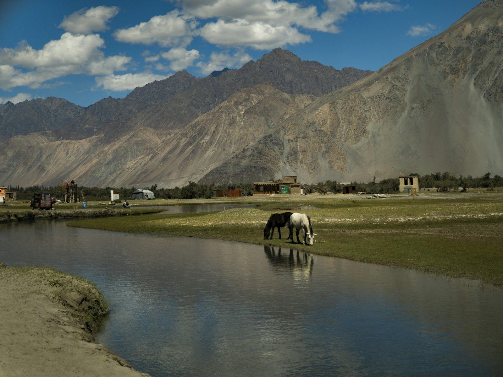 Ladakh